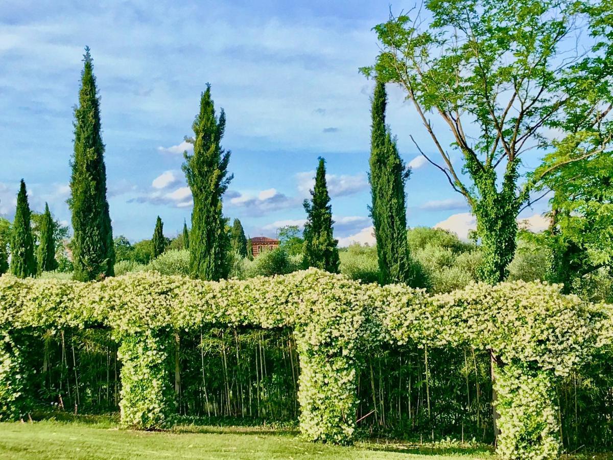 Agriturismo Antica Dimora Del Turco Villa Sona Exterior foto