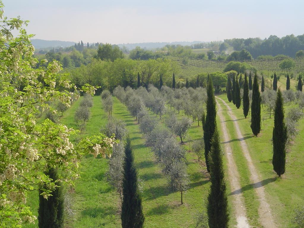 Agriturismo Antica Dimora Del Turco Villa Sona Habitación foto