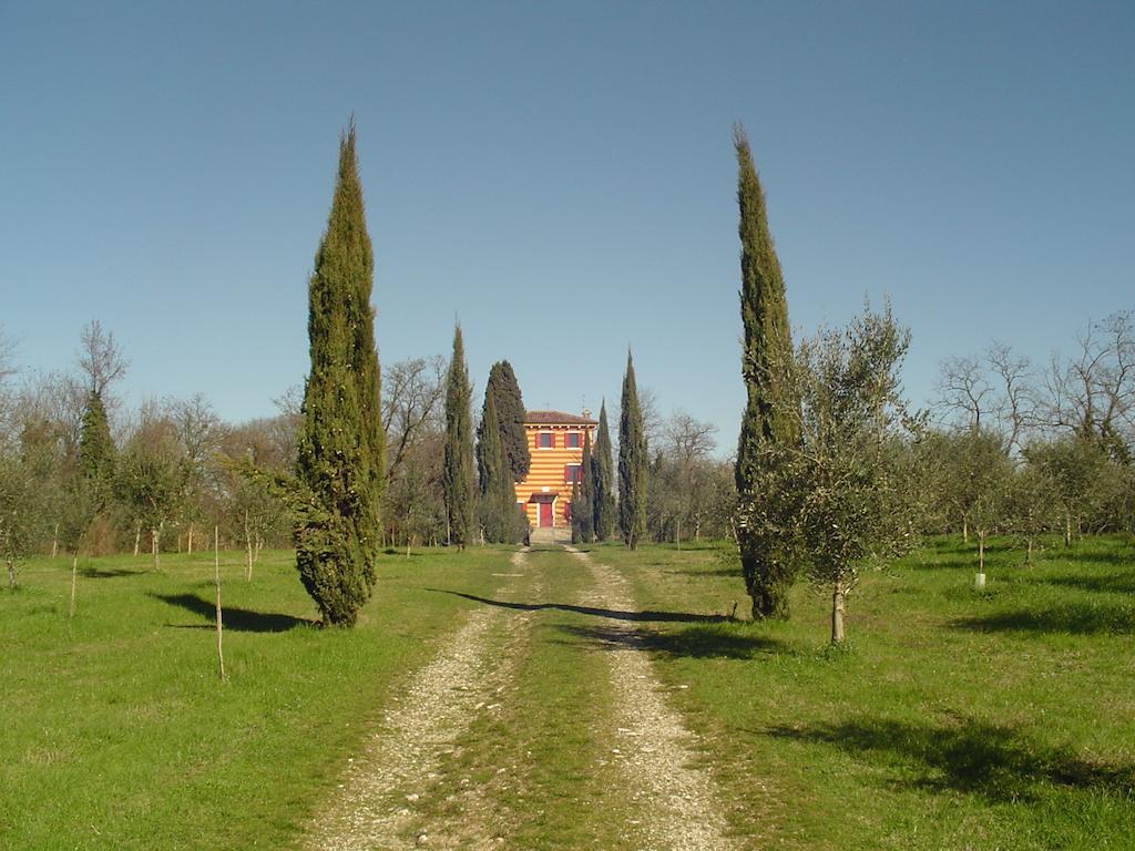 Agriturismo Antica Dimora Del Turco Villa Sona Habitación foto