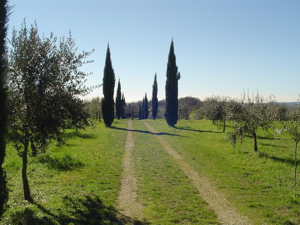 Agriturismo Antica Dimora Del Turco Villa Sona Habitación foto